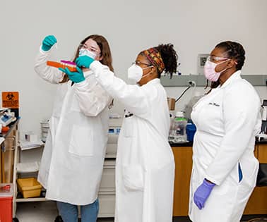 Laboratory technicians doing a test.